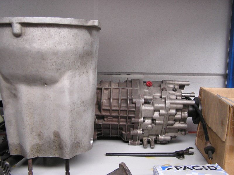 P1010044.jpg