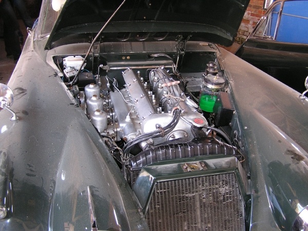 P1010020.JPG