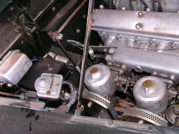 P1010021.JPG