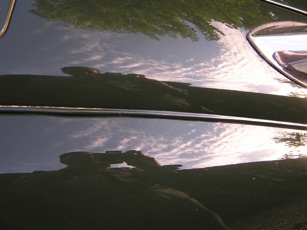P1a010058.JPG