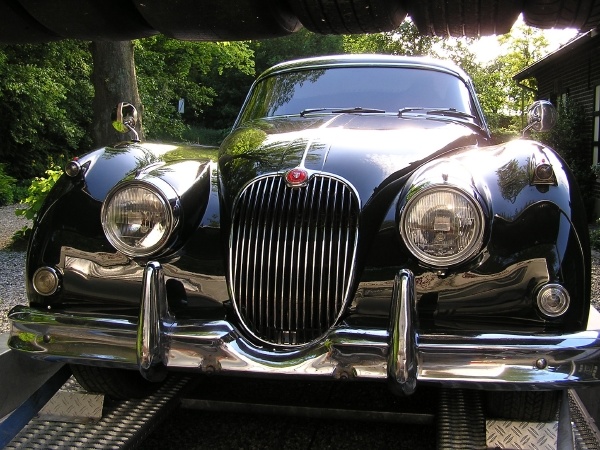 Pa1010017.JPG